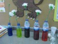 /album/alimenta%c3%a7%c3%a3o-das-plantas/cimg5444-jpg/