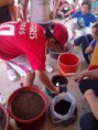 /album/galeria-de-fotos-estou-curioso1/sementeiras3-jpg/