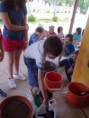 /album/galeria-de-fotos-estou-curioso1/sementeiras4-jpg/