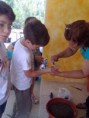 /album/galeria-de-fotos-estou-curioso1/sementeiras7-jpg/